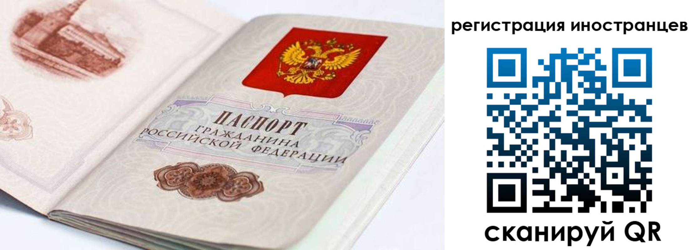 форма 3 в Амурской области
